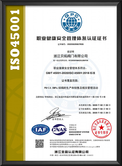ISO45001 - Chinese